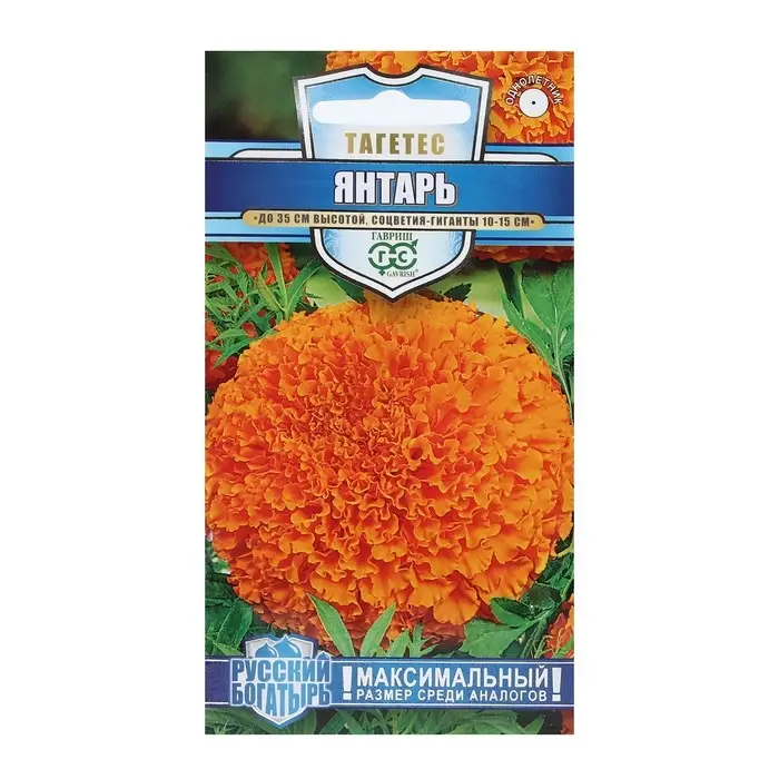 Семена цветов Бархатцы прямые (Тагетес)  Семена цветов Бархатцы прямые (Тагетес) "Янтарь", ц/п,  30 см, 0,1 г