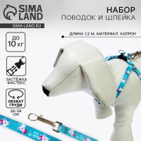 Комплект «Хочу на ручки», шлейка 24-34х1 см, поводок 120 см