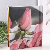 Фотоальбом 10 магнитных листов "Роза" 23X28см, пер-т внутр.спираль Фотоальбом 10 магнитных листов "Роза" 23X28см, пер-т внутр.спираль