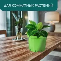 Горшок для рассады, 5 л, d=22 см, h=18 см, пластик, МИКС, Greengo