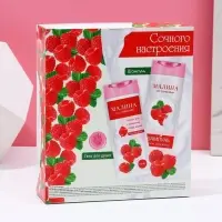 Подарочный набор косметики «Сочного настроения!», гель для душа и шампунь для волос, 2 х 250 мл, ЧИСТОЕ СЧАСТЬЕ Подарочный набор косметики «Сочного настроения!», гель для душа и шампунь для волос, 2 х 250 мл, ЧИСТОЕ СЧАСТЬЕ