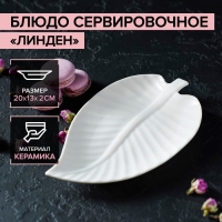 Блюдо сервировочное «Линден», 20×13×2 см, фарфор, белое