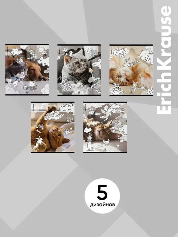 Тетрадь 48 листов в клетку ErichKrause Dream Cat, 60 г/м&sup2;, обложка мелованный картон, МИКС