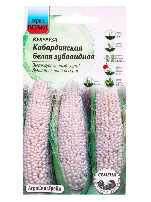 Семена Кукуруза &laquo;Кабардинская Белая Зубовидная&raquo;, 2 г, &laquo;Агросидстрейд&raquo;