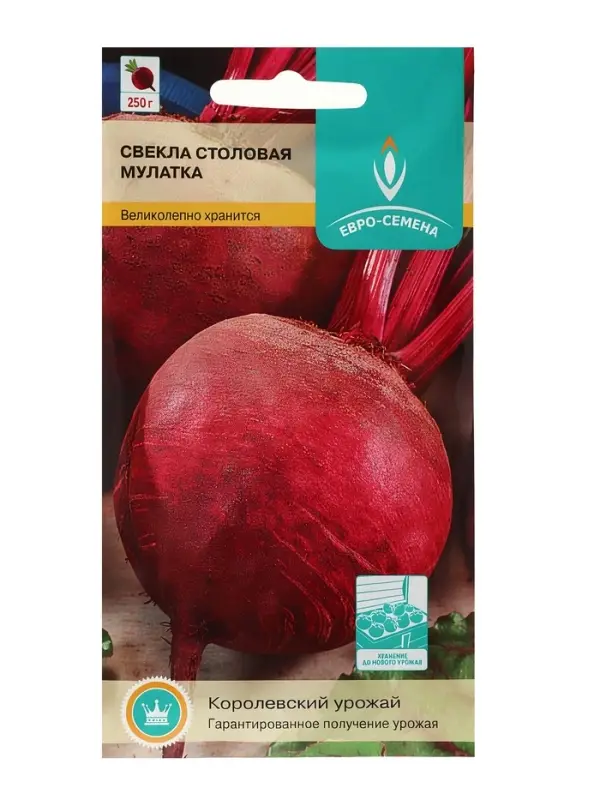 Семена Свекла "Мулатка",  цв/п, 2 г