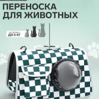 Сумка - переноска, 43&times;24&times;28 см, с органайзером и иллюминатором, белая, зелёная