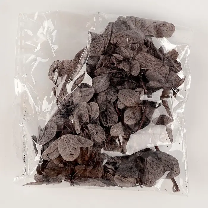 Свеча своими руками. Создание свечи &laquo;Черная гортензия&raquo;, набор для творчества