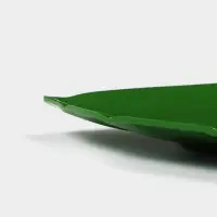 Блюдо для подачи &laquo;Лист&raquo;, пластик, 37.5&times;23.5&times;2 см, зелёное