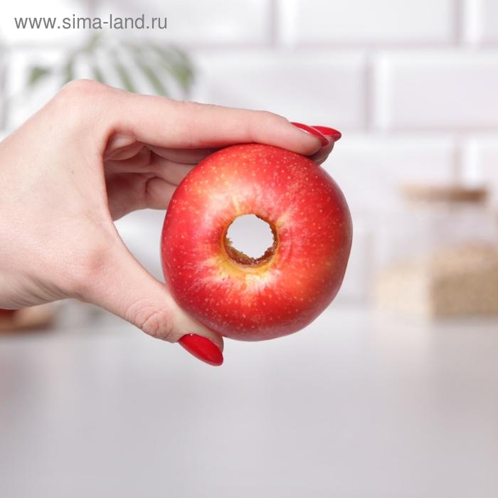 Нож для сердцевины Доляна «Металлик», 21 см, цвет серебристый Нож для сердцевины Доляна «Металлик», 21 см, цвет серебристый