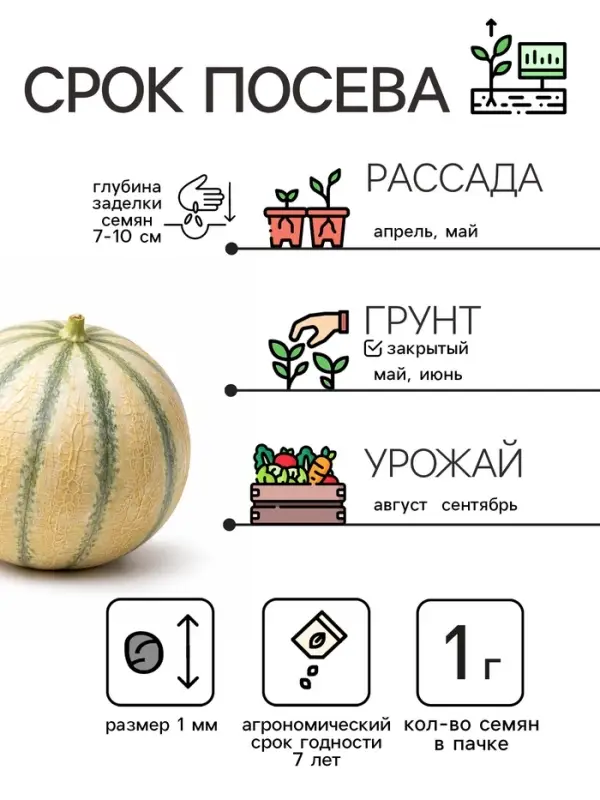 Семена Дыня &laquo;Бест Джумбо&raquo;, 1 г, &laquo;Рецепты дедушки Никиты&raquo;