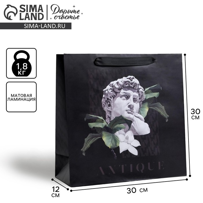Пакет подарочный ламинированный квадратный, упаковка, «Antique», 30 х 30 х 12 см Пакет подарочный ламинированный квадратный, упаковка, «Antique», 30 х 30 х 12 см