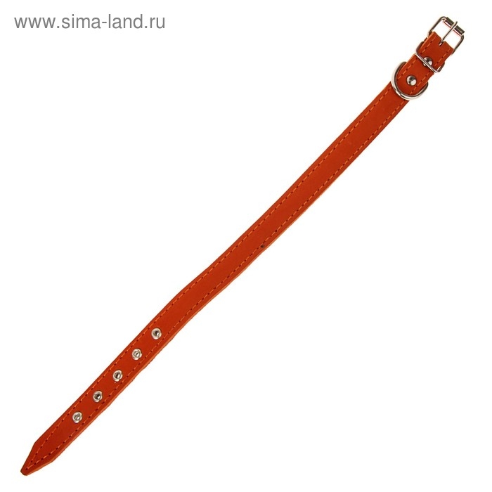Ошейник кожаный на синтепоне, 45 х 2 см, ОШ 25-35 см, оранжевый Ошейник кожаный на синтепоне, 45 х 2 см, ОШ 25-35 см, оранжевый