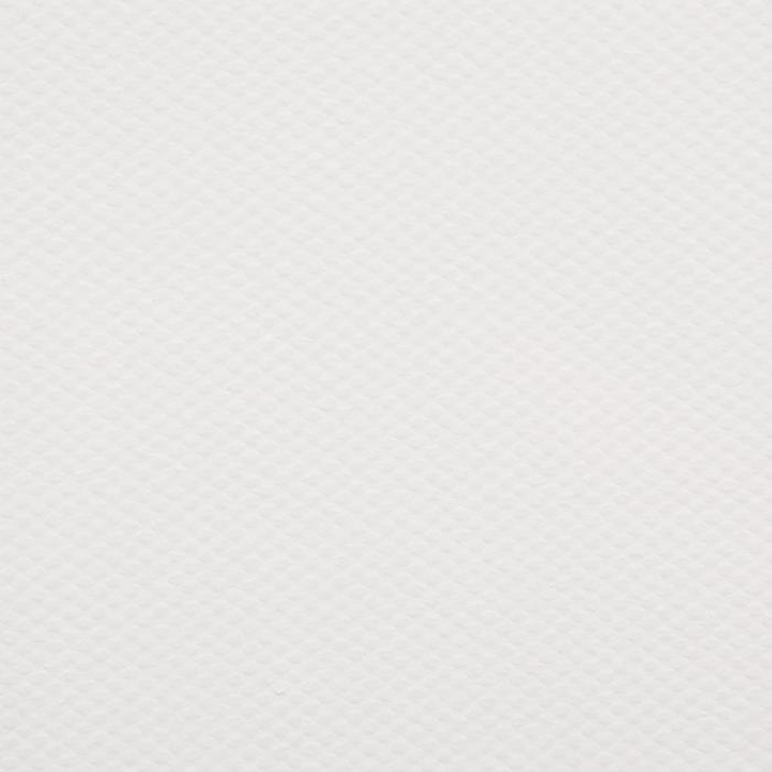 Холст на подрамнике, хлопок 100%, акриловый грунт, 2 х 50 х 70 см, 400 г/м2, крупное зерно, Гамма Холст на подрамнике, хлопок 100%, акриловый грунт, 2 х 50 х 70 см, 400 г/м2, крупное зерно, Гамма "Студия"