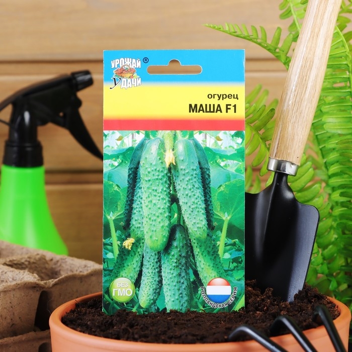 Семена Огурец  Семена Огурец "Маша" F1, 0,2  г