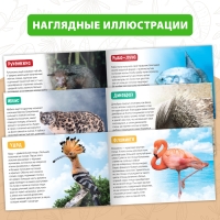 Обучающие книги набор «Удивительный мир» 6 шт. по 20 стр.
