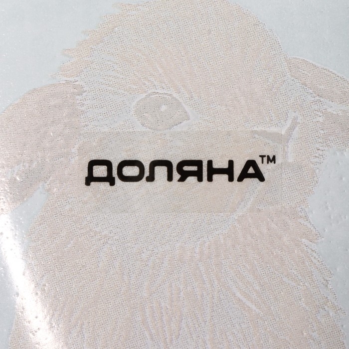 Подставка стеклянная под ложку Доляна «Кролик», 23,5×8,3×1,5 см Подставка стеклянная под ложку Доляна «Кролик», 23,5×8,3×1,5 см