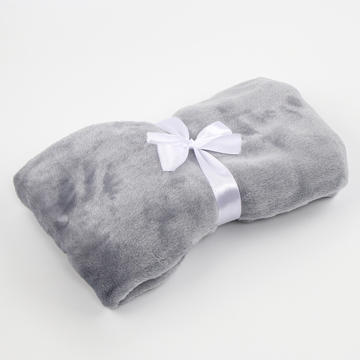 Набор подарочный: Комфортер 27 см + плед 71х125 см, «Енот» Набор подарочный: Комфортер 27 см + плед 71х125 см, «Енот»