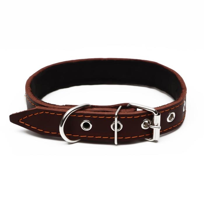 Ошейник кожаный на синтепоне, украшенный, 55 х 2.5 см, ОШ 35-45 см, коричневый Ошейник кожаный на синтепоне, украшенный, 55 х 2.5 см, ОШ 35-45 см, коричневый