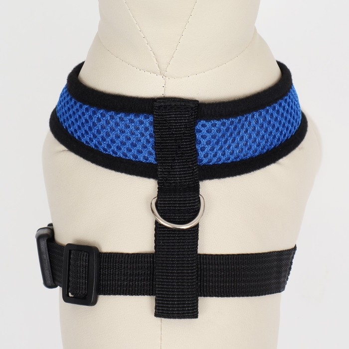 Шлейка мягкая из неопрена, размер XL, ОШ 42 см, ОГ 38-50 см, синяя Шлейка мягкая из неопрена, размер XL, ОШ 42 см, ОГ 38-50 см, синяя