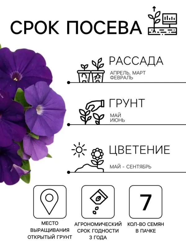 Семена цветов Петуния &laquo;Лимбо&raquo; F1, синяя, крупноцветковая, драже, 7 шт.