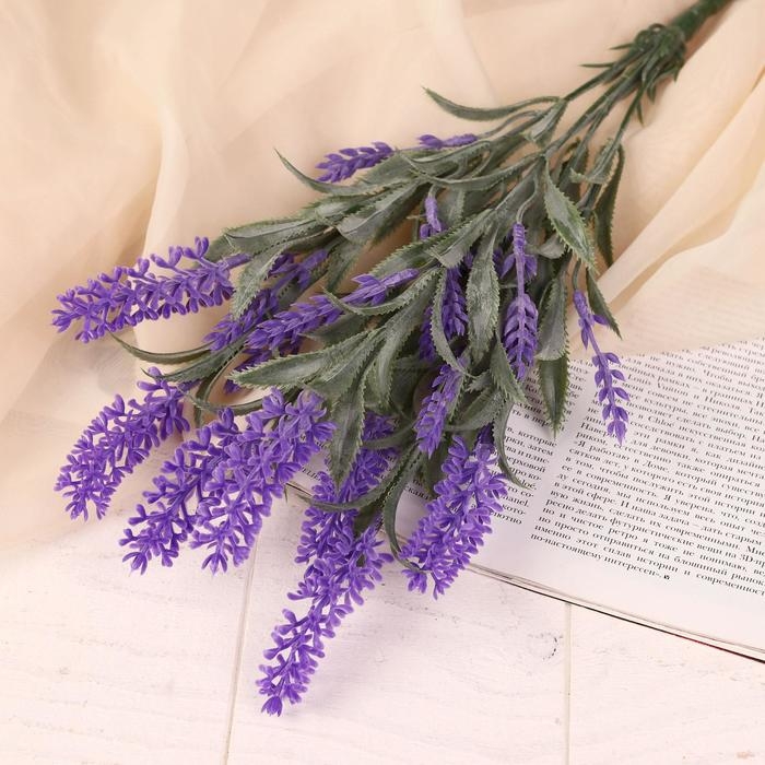 Букет Букет "Вероника колосистая" 38 см