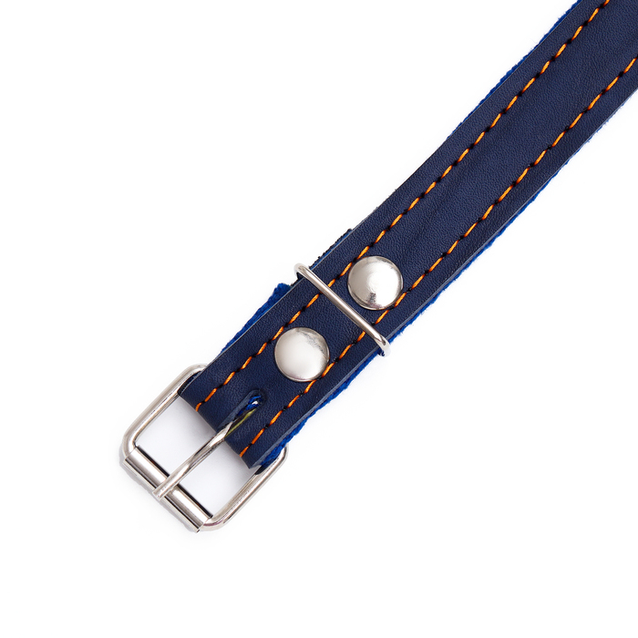 Ошейник комбинированный кожа/брезент, безразмерный, 56 х 2,5 см, ОШ 25-51 см, синий Ошейник комбинированный кожа/брезент, безразмерный, 56 х 2,5 см, ОШ 25-51 см, синий