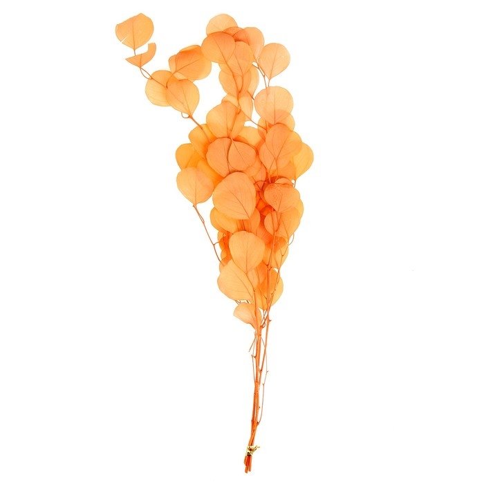 Сухоцвет персикого дерева, 50 г, длина — 70 см, цвет нежно-розовый Сухоцвет персикого дерева, 50 г, длина — 70 см, цвет нежно-розовый