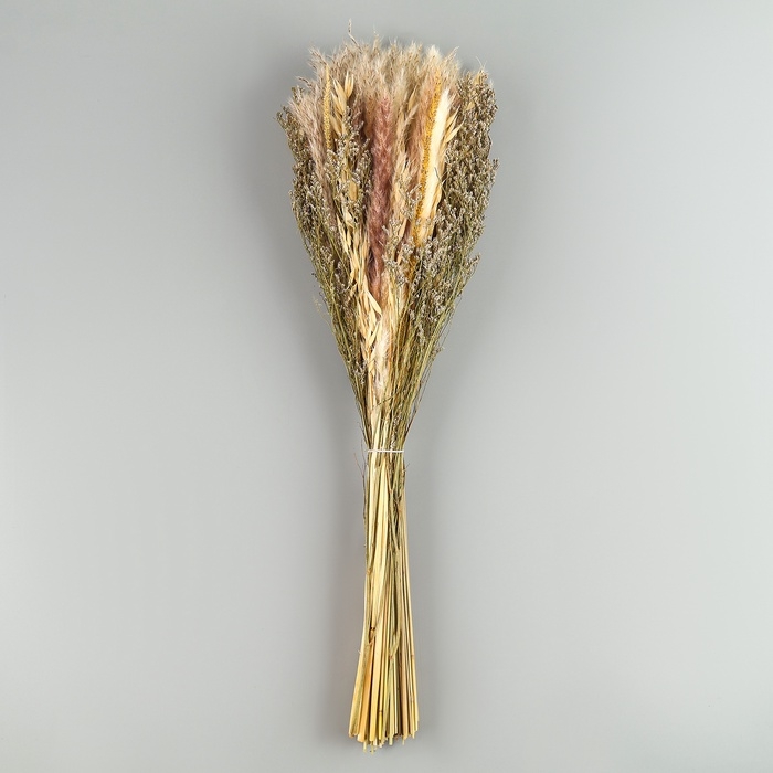 Букет из сухоцветов «Мечта», набор из 85 шт., высота 47 см