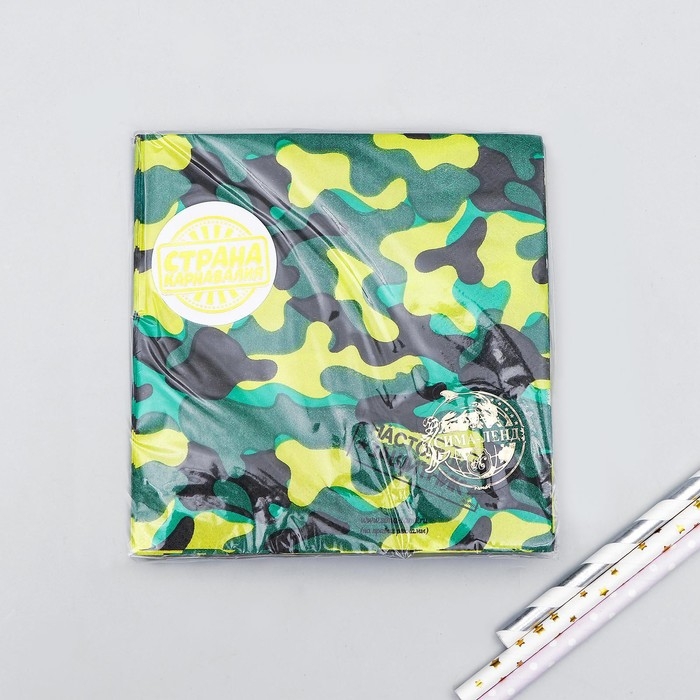 Салфетки бумажные «Настоящий защитник», 25х25 см, набор 20 шт. Салфетки бумажные «Настоящий защитник», 25х25 см, набор 20 шт.