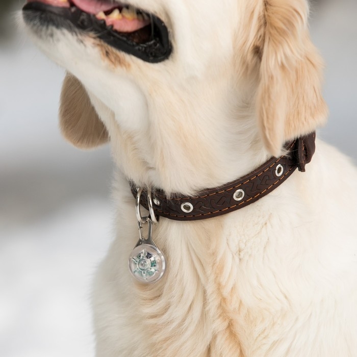 Маячок Сфера 3 режима свечения прозрачный Маячок Сфера 3 режима свечения прозрачный