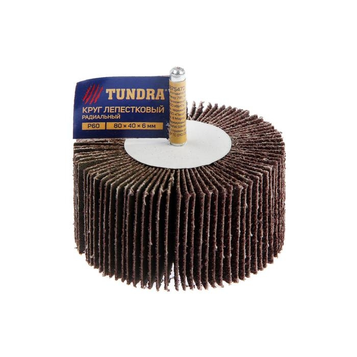Круг лепестковый радиальный ТУНДРА, 80 х 40 х 6 мм, Р60 Круг лепестковый радиальный ТУНДРА, 80 х 40 х 6 мм, Р60