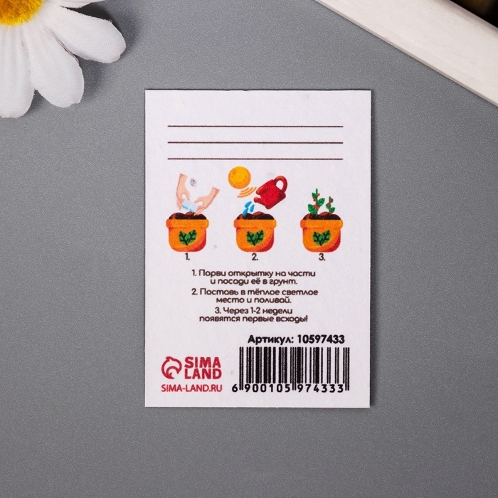 Набор открыток с семенами  Набор открыток с семенами "Вырасти сам" "Мечта" 5*7см 3 шт