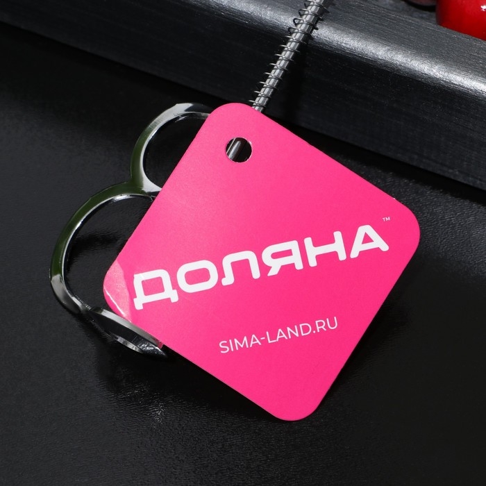 Удалитель косточек Доляна «Любитель», 12,5 см, цвет серебряный Удалитель косточек Доляна «Любитель», 12,5 см, цвет серебряный