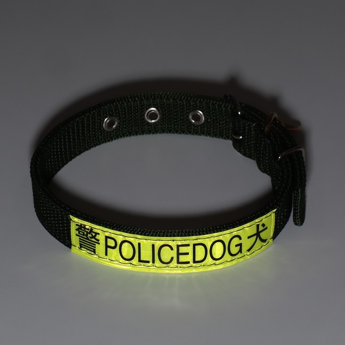 Ошейник двухслойный с вертлюгом, 3 см, зелёный Ошейник двухслойный с вертлюгом, 3 см, зелёный