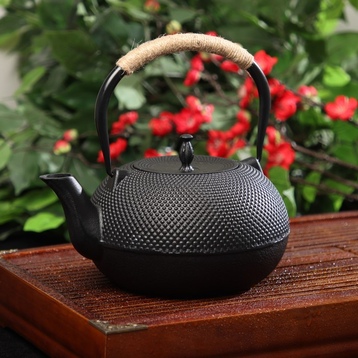 Чайник для плиты чугунный Доляна «Восточная ночь», 1,6 л, с ситом, цвет чёрный Чайник для плиты чугунный Доляна «Восточная ночь», 1,6 л, с ситом, цвет чёрный