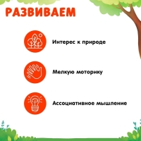 Развивающий набор «Домашние животные», по методике Домана, 9 карточек, 3-6 лет