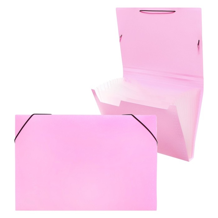 Папка картотека А4, Calligrata Папка картотека А4, Calligrata "Акварель", 13 отделений, пластиковая, 700 мкм, фламинго, резинка чёрная