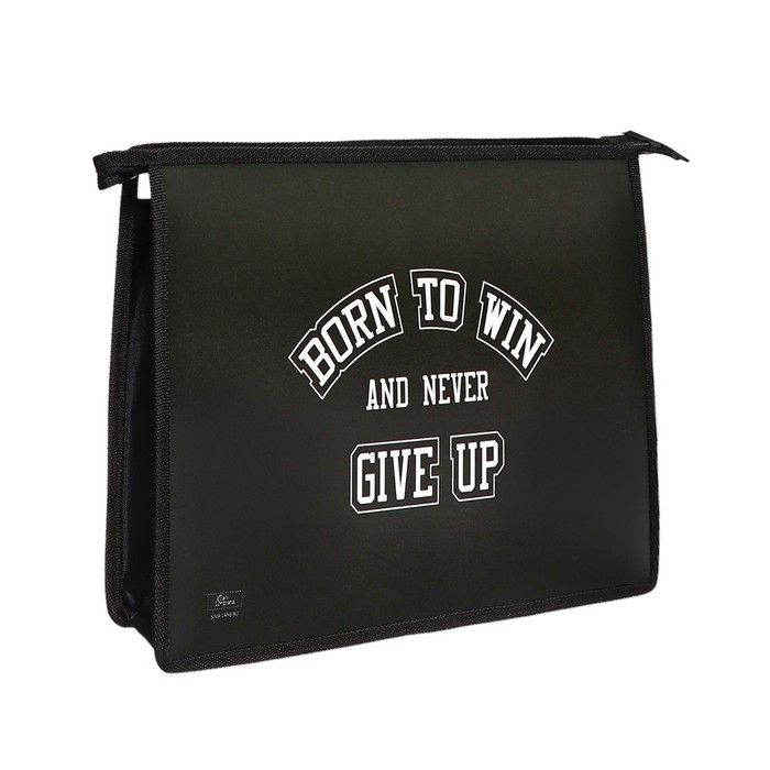 Папка для тетрадей А4, 325 х 230 х 55 мм, молния сверху, пластиковая, ПМ-А4-29 Calligrata Папка для тетрадей А4, 325 х 230 х 55 мм, молния сверху, пластиковая, ПМ-А4-29 Calligrata "Победитель"