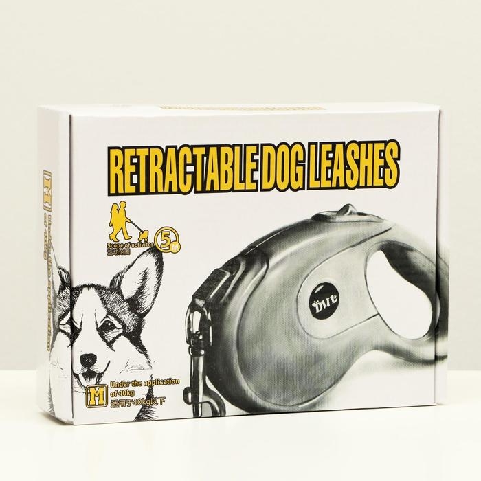 Рулетка DIIL, 5 м, до 40 кг, лента, прорезиненная ручка, зелёная с серым Рулетка DIIL, 5 м, до 40 кг, лента, прорезиненная ручка, зелёная с серым