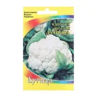 Семена Капуста цветная "Дачница", 0,3 г Семена Капуста цветная "Дачница", 0,3 г