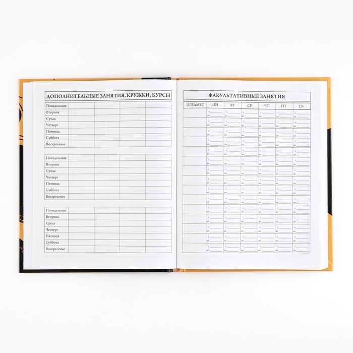 Дневник школьный 5-11 класс, в твердой обложке, 48 л. «1 сентября: Football»