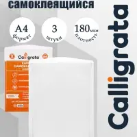 Карман самоклеящийся А4, 223&times;303 мм, комплект 3 штуки, Calligrata, 180 мкм, на лицевую сторону папок и любые гладкие поверхности