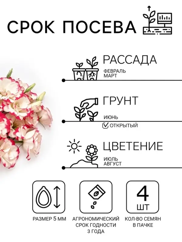 Семена цветов Эустома &laquo;Эхо Пикоти&raquo; F1, розовая, гранулы, пробирка, 4 шт.