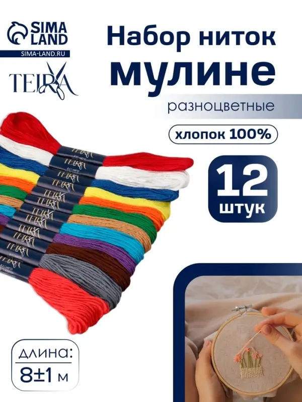 Нитки мулине TEIRA &laquo;Сочный&raquo;, 8&plusmn;1 м, 12 шт., разноцветные
