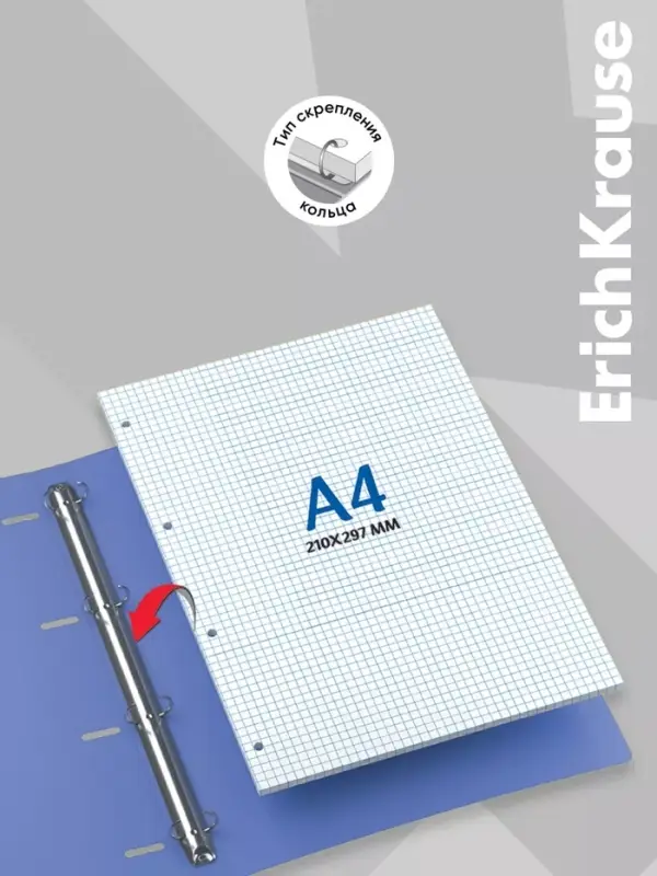 Сменный блок для тетради А4, на кольцах, 80 листов в клетку, Erich Krause