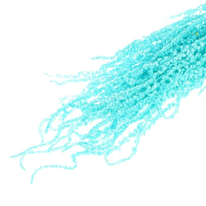 Сухие цветы амаранта, 100 г, размер листа: от 50 до 60 см, цвет голубой Сухие цветы амаранта, 100 г, размер листа: от 50 до 60 см, цвет голубой