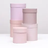 Набор шляпных подарочных коробок 5 в 1 &laquo;Пудра&raquo;,20&times;20&times;20‒13.5&times;13.5&times;13.5 см