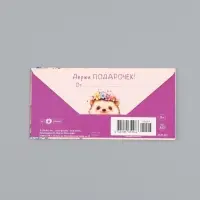 Конверт для денег &laquo;С Днем Рождения!&raquo;, ёж, 16,5 х 8 см