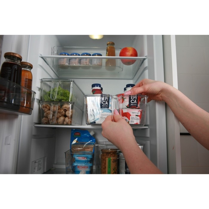 Контейнер для холодильника с крышкой и ручкой RICCO, 32×20,5×10 см