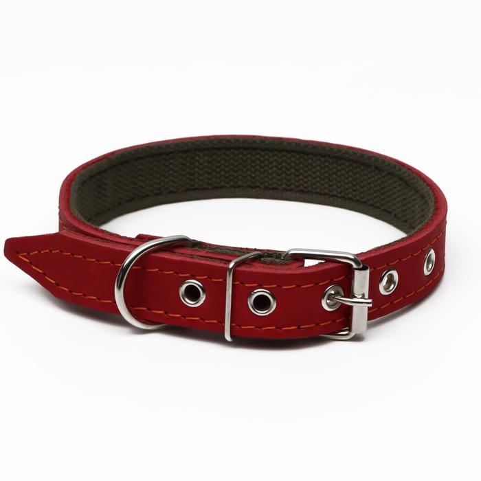 Ошейник комбинированный кожа/брезент, 53 х 2.5 см, ОШ 35-45 см, красный Ошейник комбинированный кожа/брезент, 53 х 2.5 см, ОШ 35-45 см, красный